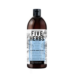 Five Herbs szampon nawilżający 480ml Barwa