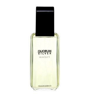 Antonio Puig Quorum Silver woda toaletowa spray 100ml