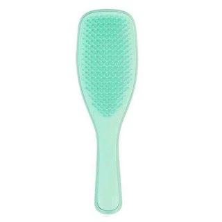 Tangle Teezer The Wet Detangling Fine & Fragile Hairbrush szczotka do włosów Mint