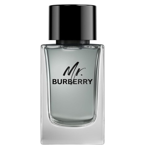 Burberry Mr. Burberry woda toaletowa spray 150ml Burberry Mr. Burberry woda toaletowa spray 150ml