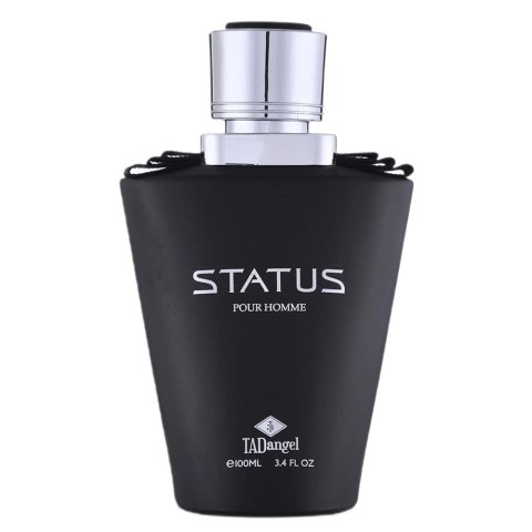 TaDangel Status Pour Homme woda perfumowana spray 100ml