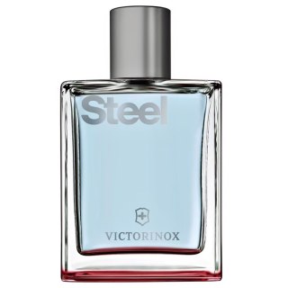 Victorinox Steel woda toaletowa spray 100ml