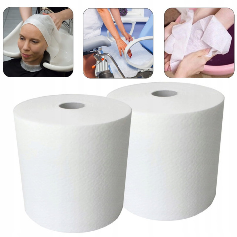 Ecoter Ręczniki celulozowe 2 warstwowe w rolce 25cm 2 rolki Ecoter Ręczniki celulozowe 2 warstwowe w rolce 25cm 2 rolki