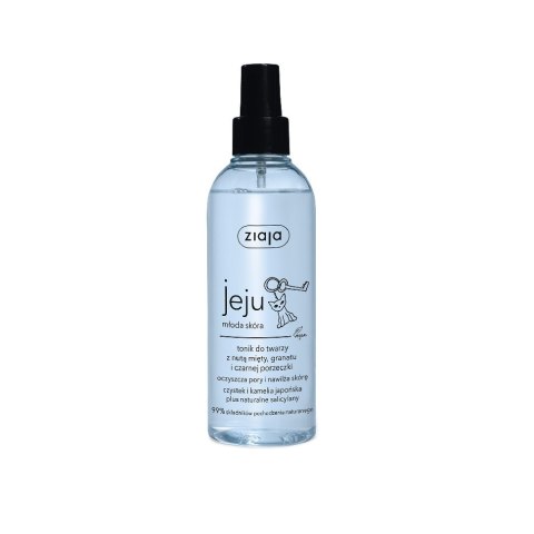 Ziaja Jeju tonik do twarzy w sprayu z nutą mięty granatu i czarnej porzeczki 200ml Ziaja Jeju tonik do twarzy w sprayu z nutą mięty granatu i czarnej porzeczki 200ml